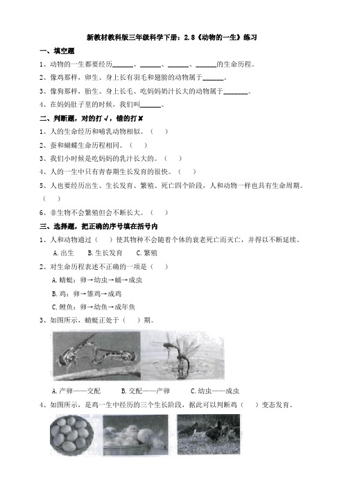 新教材教科版三年级科学下册:2.8《动物的一生》练习精品