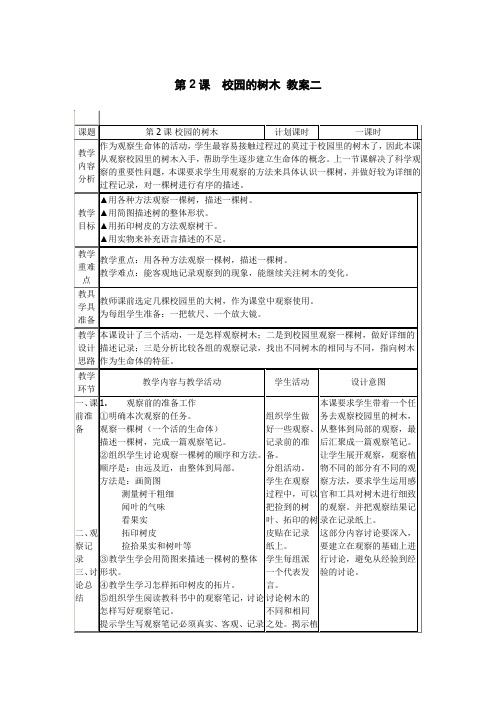 第2课 校园的树木教案二