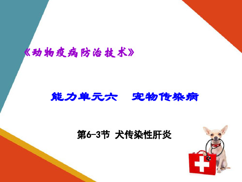 犬猫传染病—犬传染性肝炎(动物疫病防治课件)