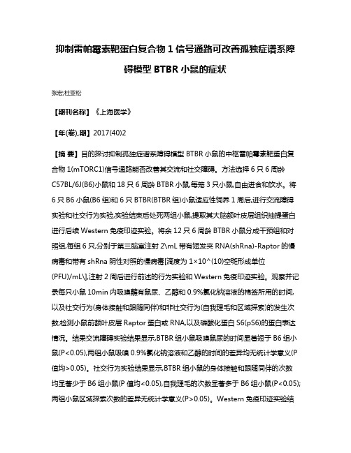 抑制雷帕霉素靶蛋白复合物1信号通路可改善孤独症谱系障碍模型BTBR小鼠的症状