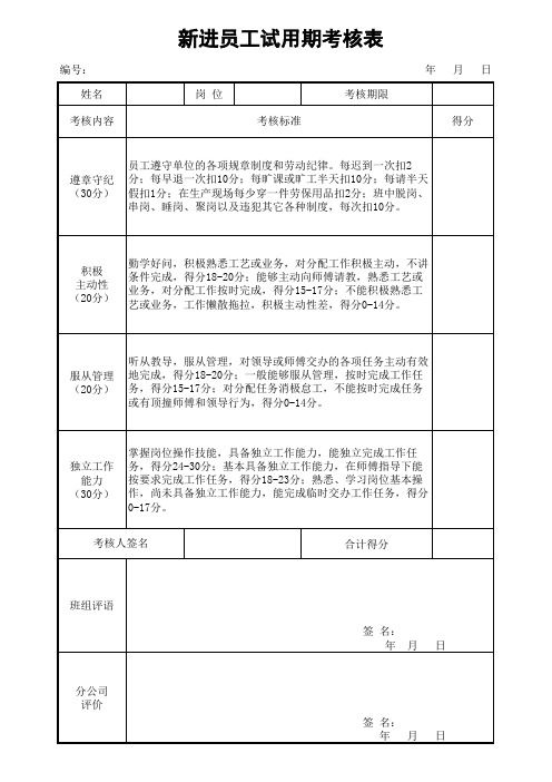 新进员工试用期考核表