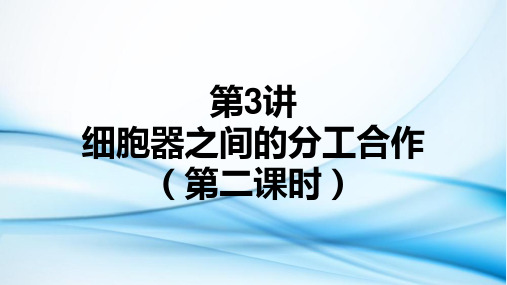 细胞器之间的分工合作(第二课时)-备战2023年高考生物一轮复习全考点精讲课件