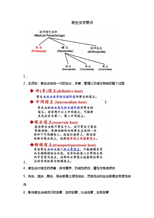 人体生物学二重点(寄生虫学)