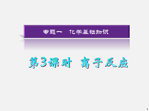 高考化学 二轮复习 第03课时 离子反应课件 新人教版