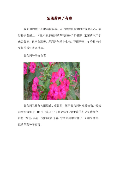 紫茉莉种子有毒