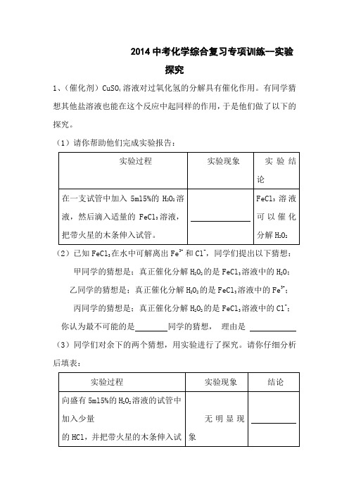 2014中考化学综合复习专项训练-实验探究教程