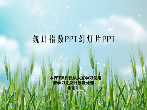 统计指数PPT幻灯片PPT