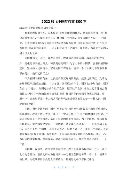 2022放飞中国梦作文800字