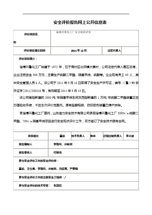 安全评价报告网上公开信息表[005]