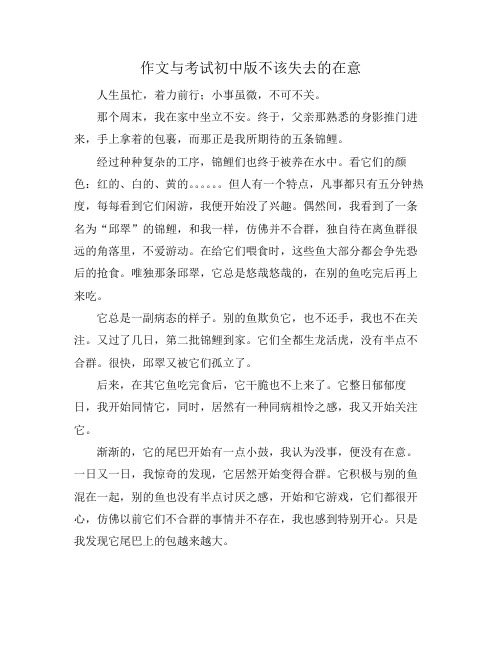 作文与考试初中版不该失去的在意