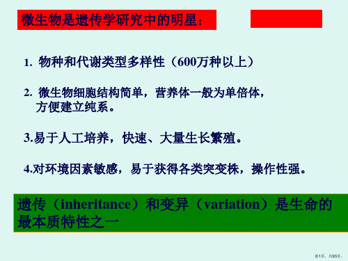 第七章  微生物的遗传变异和育种