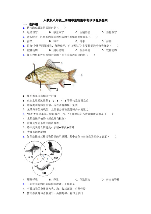 人教版八年级上册期中生物期中考试试卷及答案