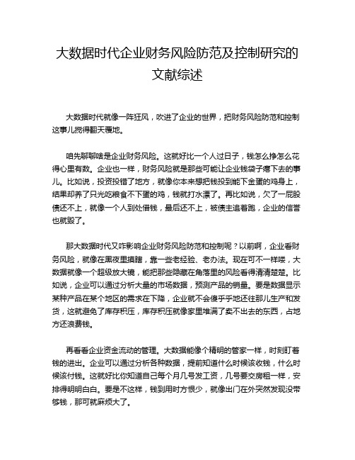 大数据时代企业财务风险防范及控制研究的文献综述