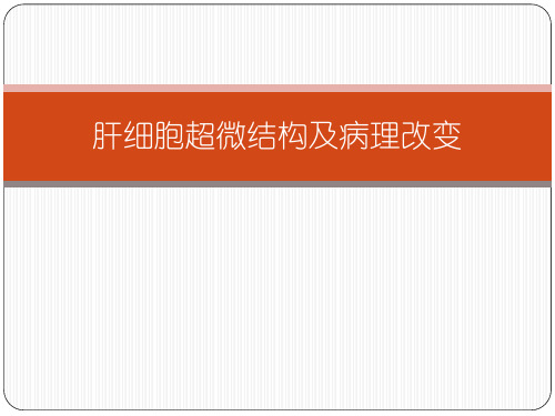 肝细胞超微结构及病理改变