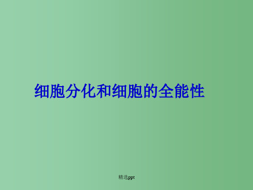 高中生物 6.2《细胞分化和细胞的全能性》课件新人教版必修1