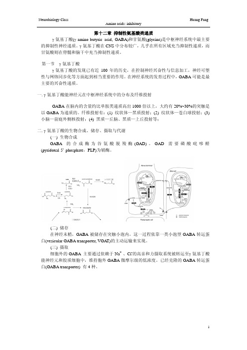 第十二章抑制性氨基酸类递质