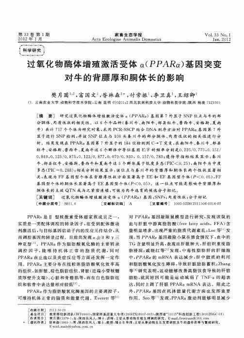 过氧化物酶体增殖激活受体α(PPARα)基因突变对牛的背膘厚和胴体长的影响