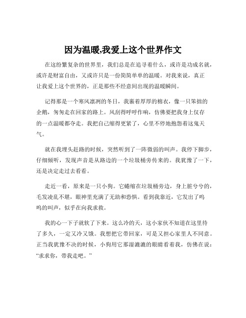 因为温暖,我爱上这个世界作文