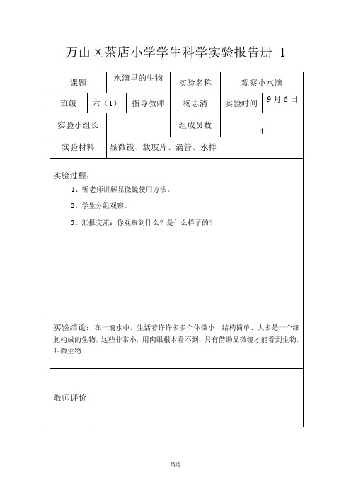 六年级上册实验报告单