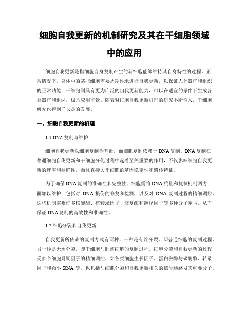 细胞自我更新的机制研究及其在干细胞领域中的应用