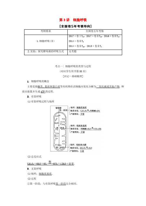 2019版高考生物一轮复习 第3单元 光合作用和细胞呼吸 第3讲 细胞呼吸学案 苏教版