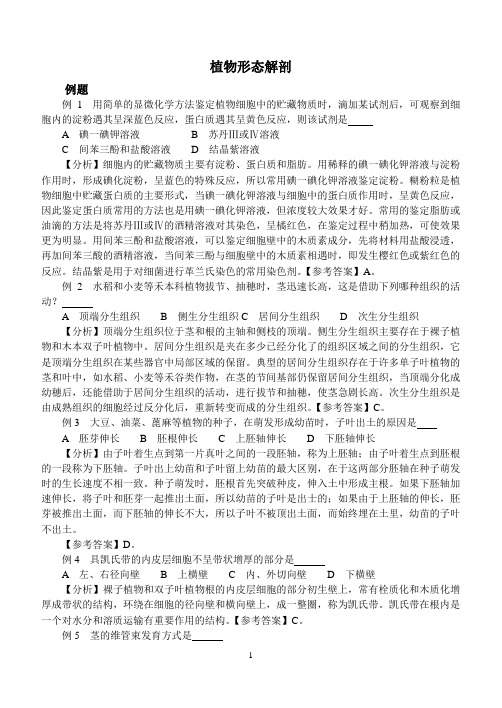 全国中学生生物学竞赛植物形态解剖例题习题及答案