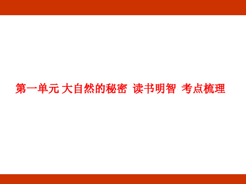 统编版语文二年级上册第一单元 大自然的秘密 考点梳理 课件(共35张PPT)