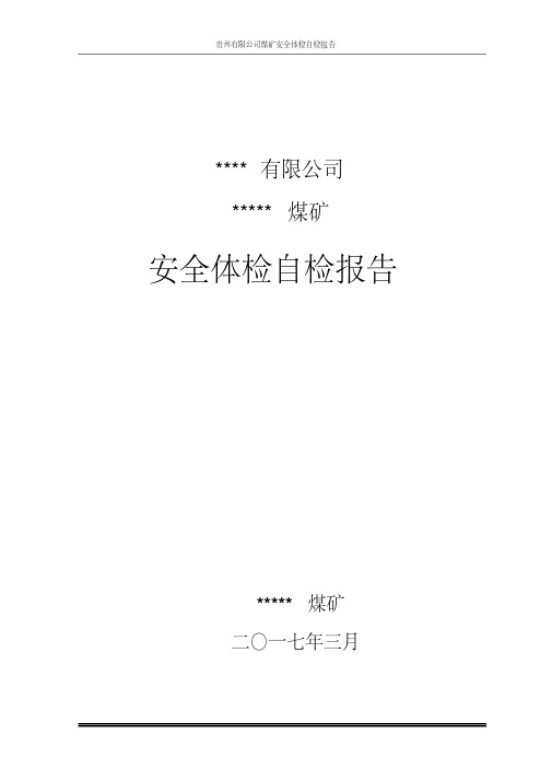 煤矿安全体检自检报告-精选.pdf