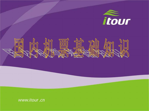 国内机票基础知识资料共101页文档
