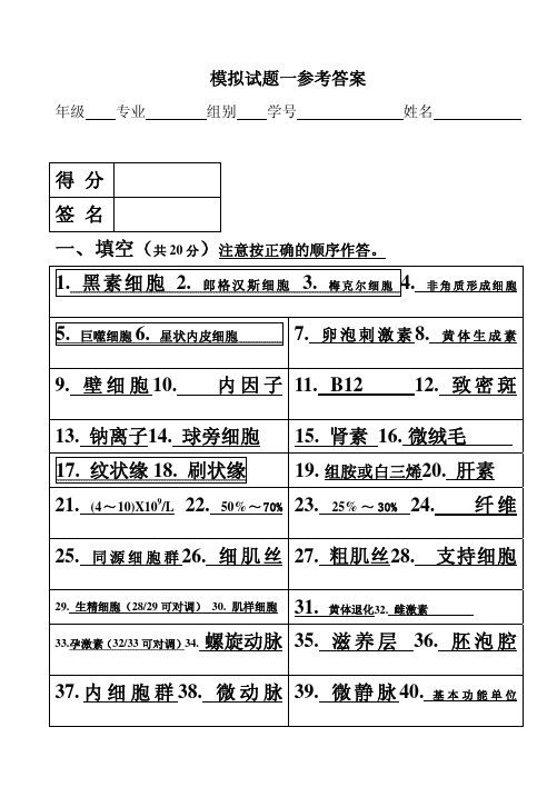 组胚模拟一参考答案