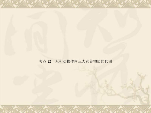 高中生物一轮总复习 考点12 人和动物体内三大营养物质的代谢课件