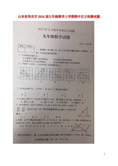 山东省寿光市九年级数学上学期期中自主检测试题(扫描