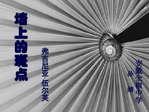 人教版选修语文《外国小说欣赏墙上的斑点》(一等奖课件)