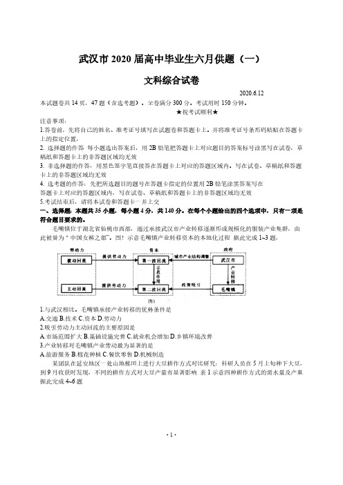 【6月12日武汉六调文综】2020年6月武汉市2020届高中毕业生六月供题文综试卷含答案