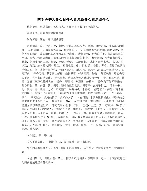 四字成语入什么过什么意思是什么意思是什么