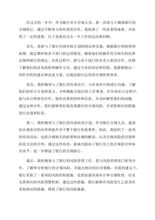 “合规执行年”工作总结_银行审计合规工作总结