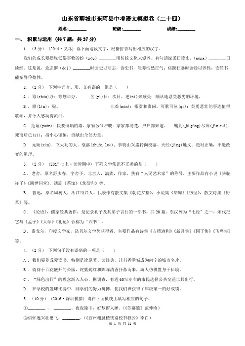 山东省聊城市东阿县中考语文模拟卷(二十四)