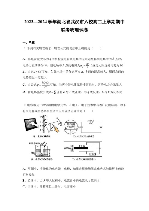 2023—2024学年湖北省武汉市六校高二上学期期中联考物理试卷