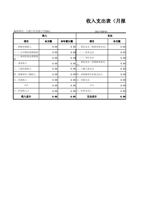 会计报表-收入支出表