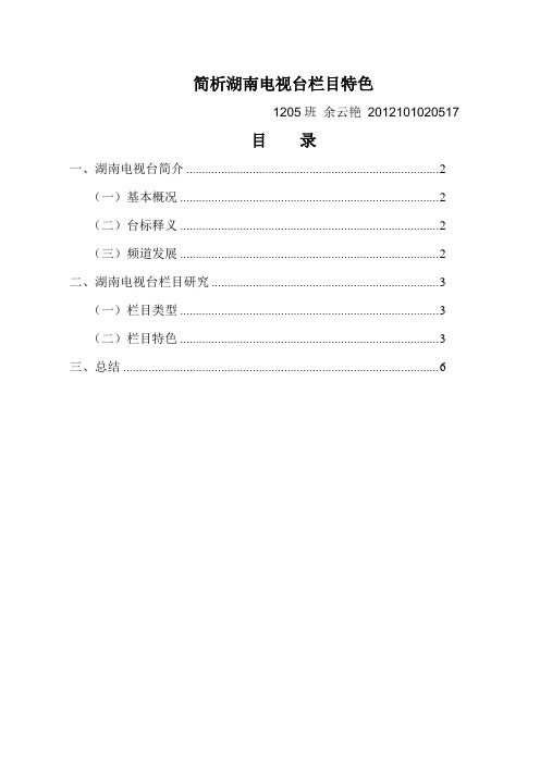 简析湖南电视台栏目特色