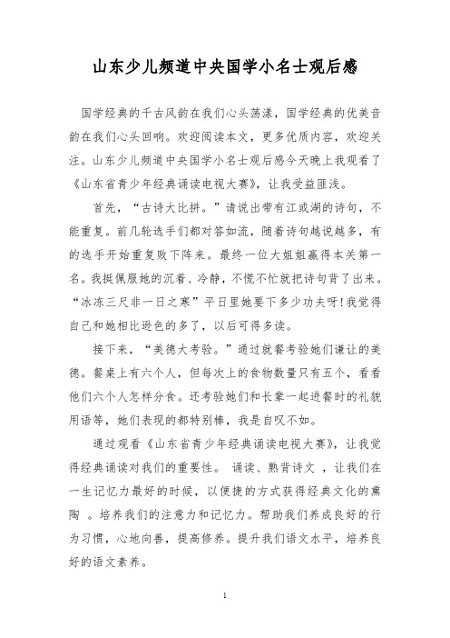 山东少儿频道中央国学小名士观后感