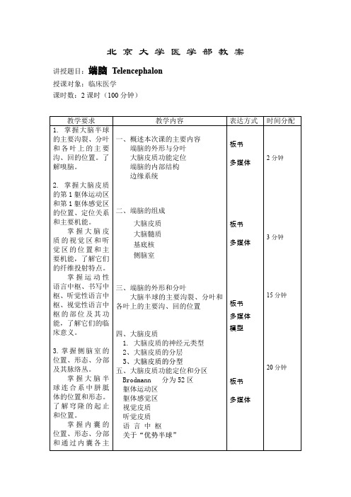 大脑皮质分区教案