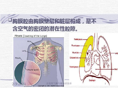 自发性气胸专题知识宣讲培训课件