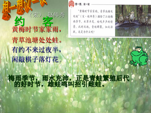 初中生物八年级下册两栖动物的生殖和发育ppt课件
