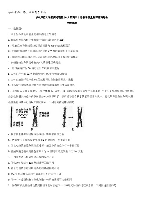 华中师范大学新高考联盟2017届高三2月教学质量测评理科综合生物试题含答案