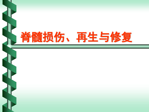 脊髓损伤修复与再生