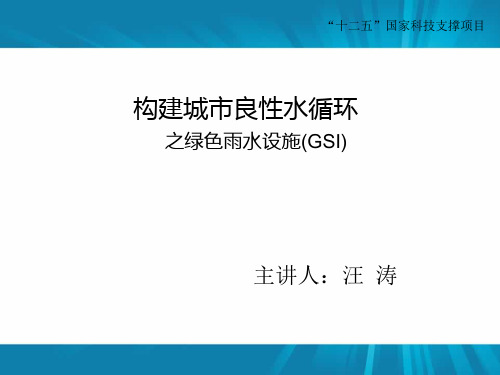 GSI的技术措施雨水槽新西兰奥克兰美国波特兰NESisklyou绿色街道改造工程