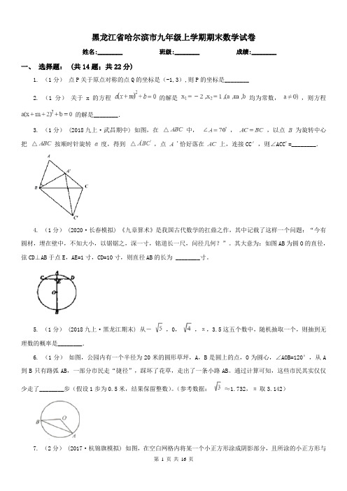 黑龙江省哈尔滨市九年级上学期期末数学试卷