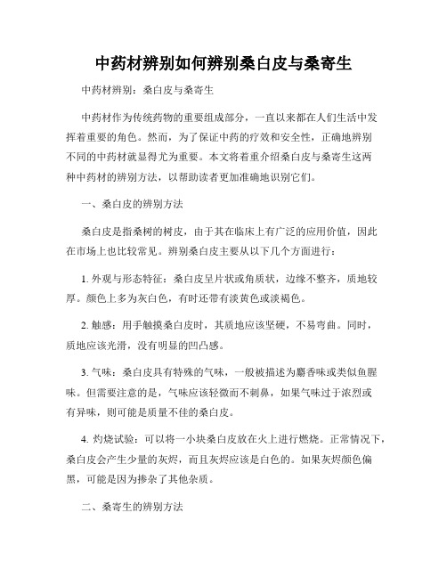 中药材辨别如何辨别桑白皮与桑寄生