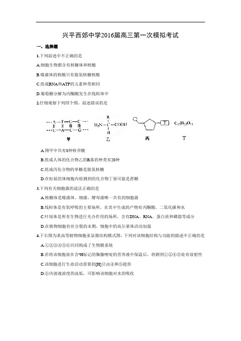 生物高考模拟卷-高三生物试题及答案-咸阳市兴平市西郊高级中学2016届高三上学期第一次模拟考试